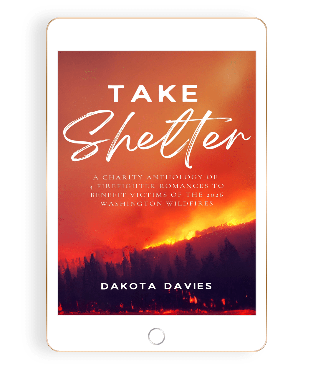 Take Shelter Charity Anthology
